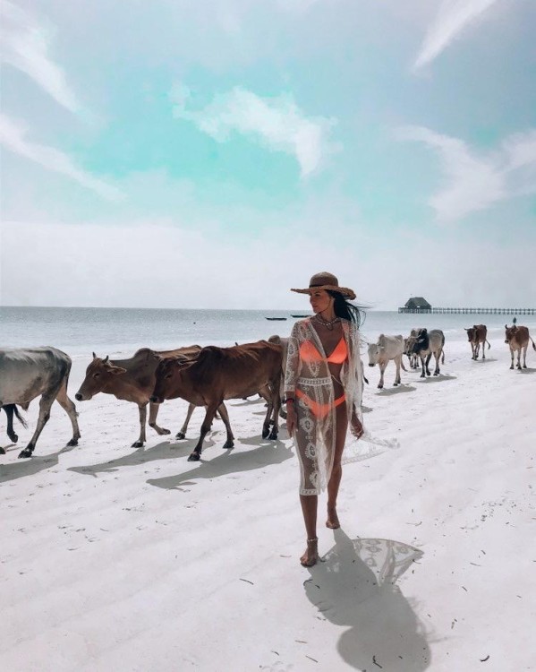 adb2dade-98b3-4d29-8802-fef3080c3869